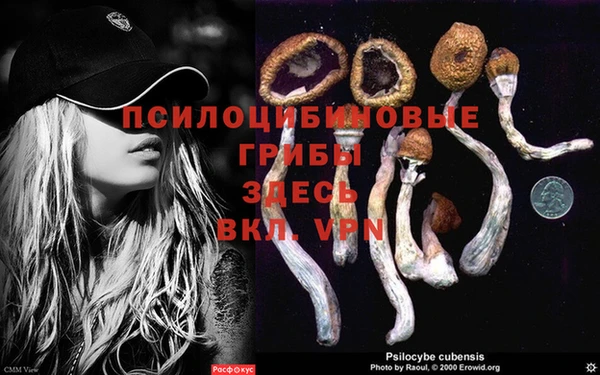 герыч Вязьма
