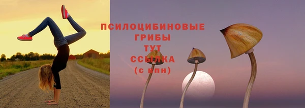 герыч Вязьма